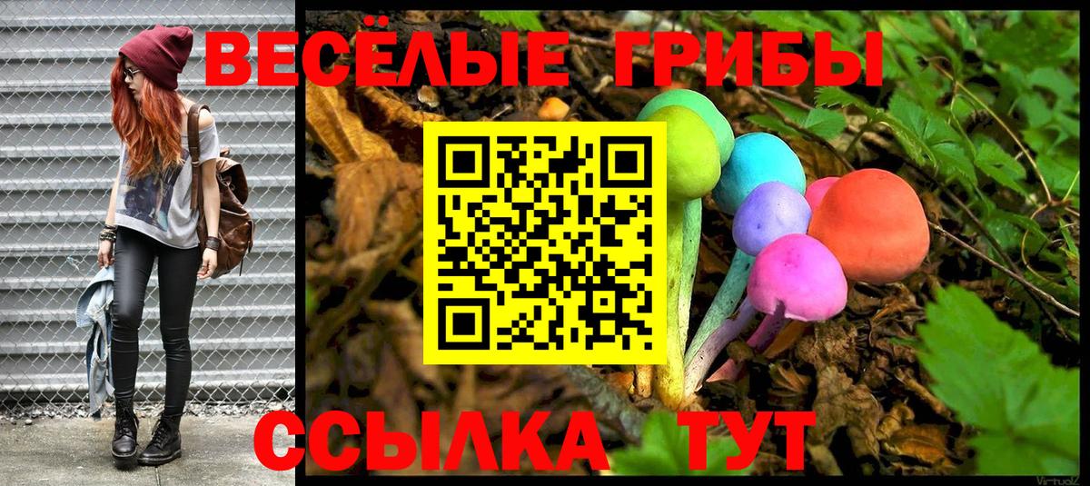 Псилоцибиновые грибы ЛСД Заречный