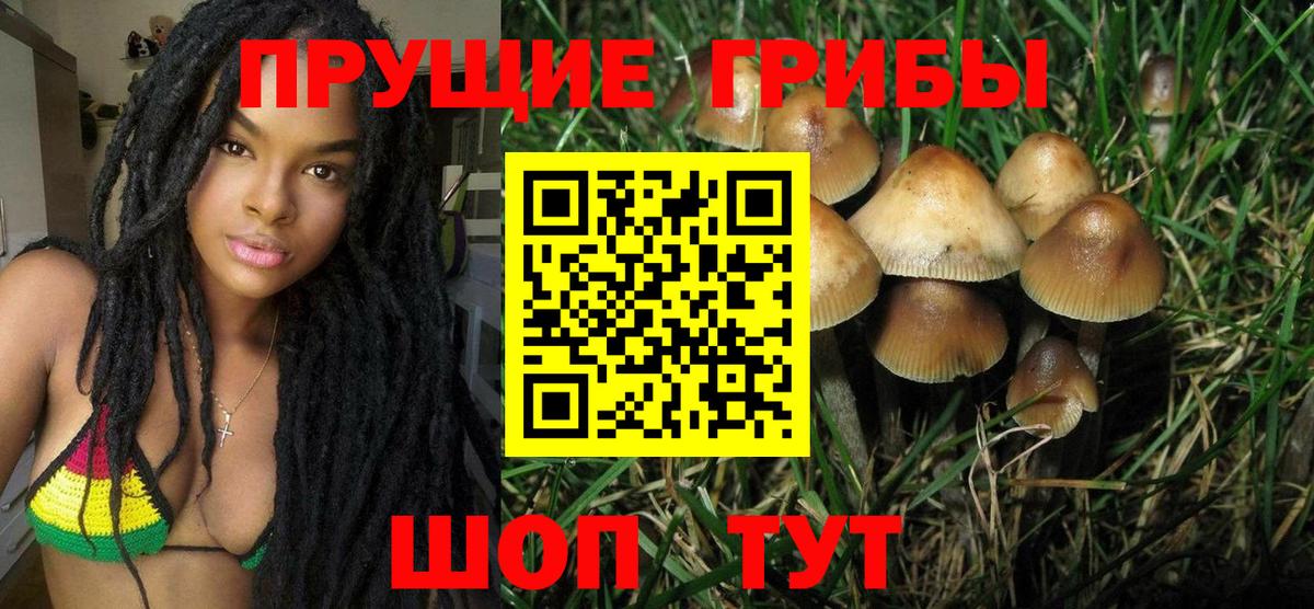Заречный  Псилоцибиновые грибы Cubensis  Вход с VPN 